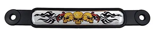 Skulls And Flames Flag Screw On License Plate Emblem Car Decal Badge 1