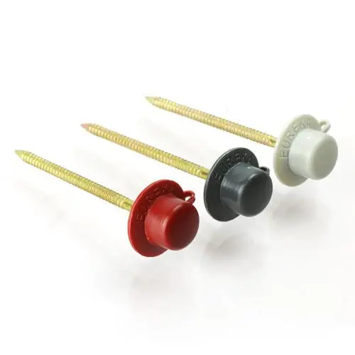 Eureka Nail & Cap Roofseal 1