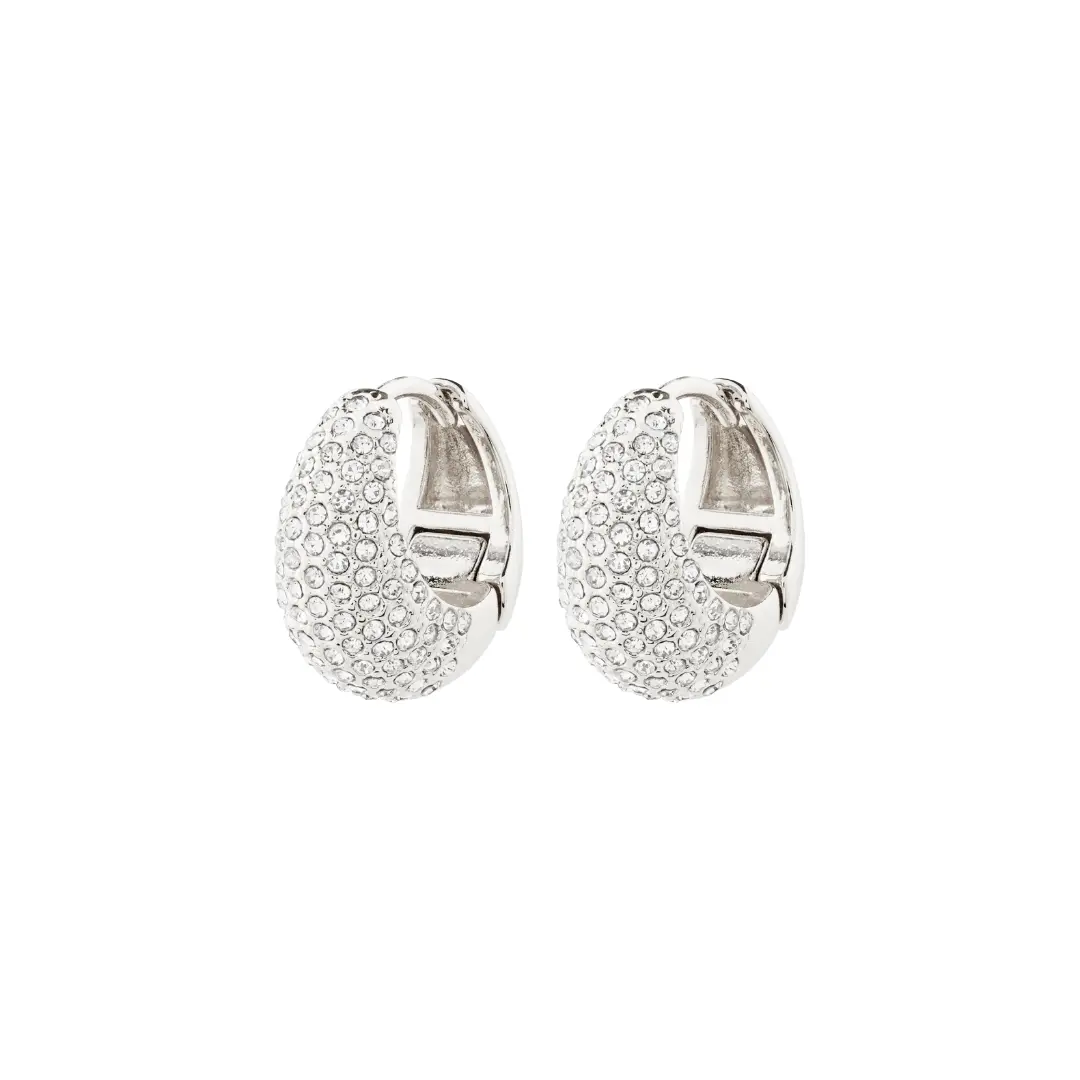 Pilgrim - Focus Earrings - Silver 1