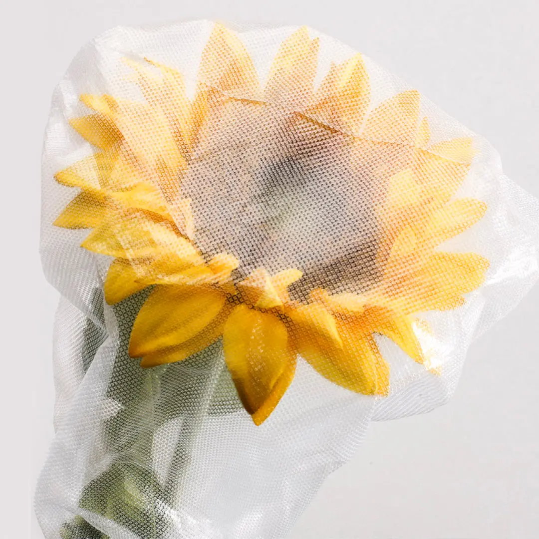 Polyethylene Pollination Bags 1