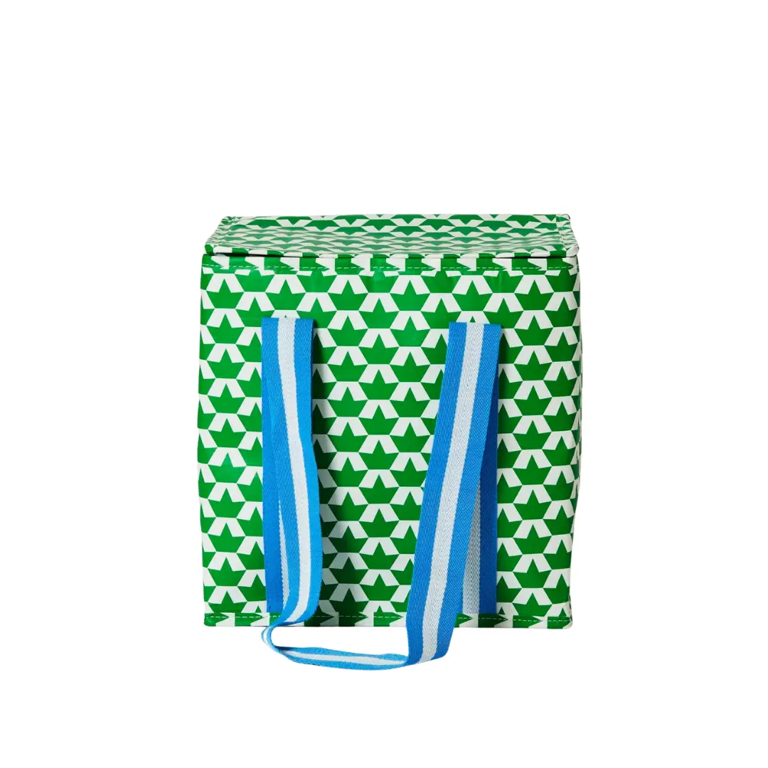 Project Ten - Medium Insulated Tote - Boats 1