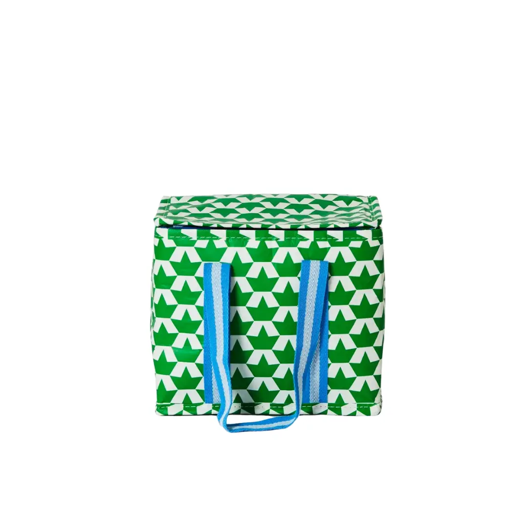 Project Ten - Mini Insulated Tote - Boats 1
