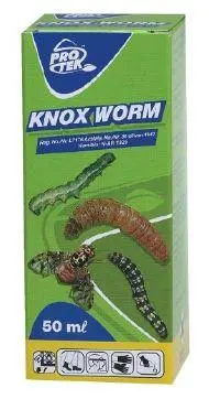 Protek Knox Worm 1