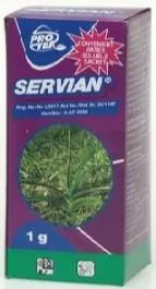 Protek Servian - 1G 1