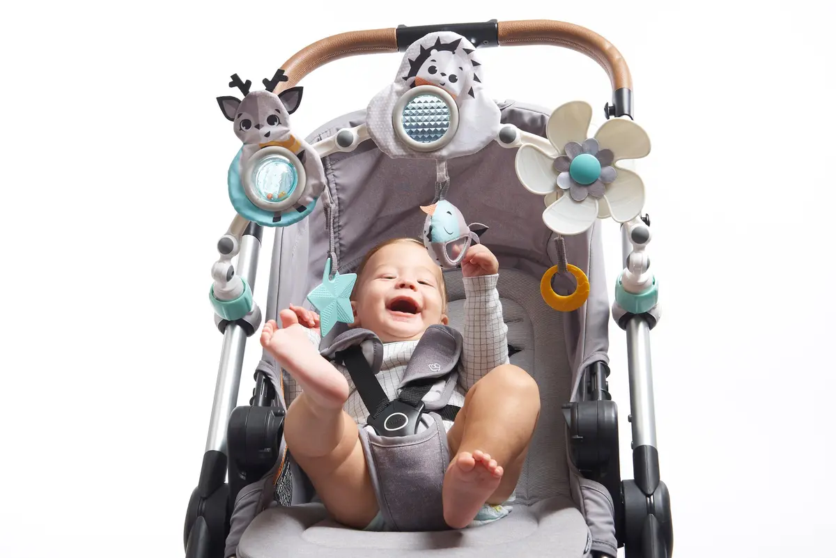 Arco Para Coche Cuentos Magicos, Tiny Love 1