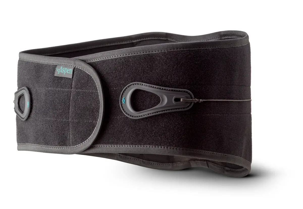 Aspen® Lumbar Support 1