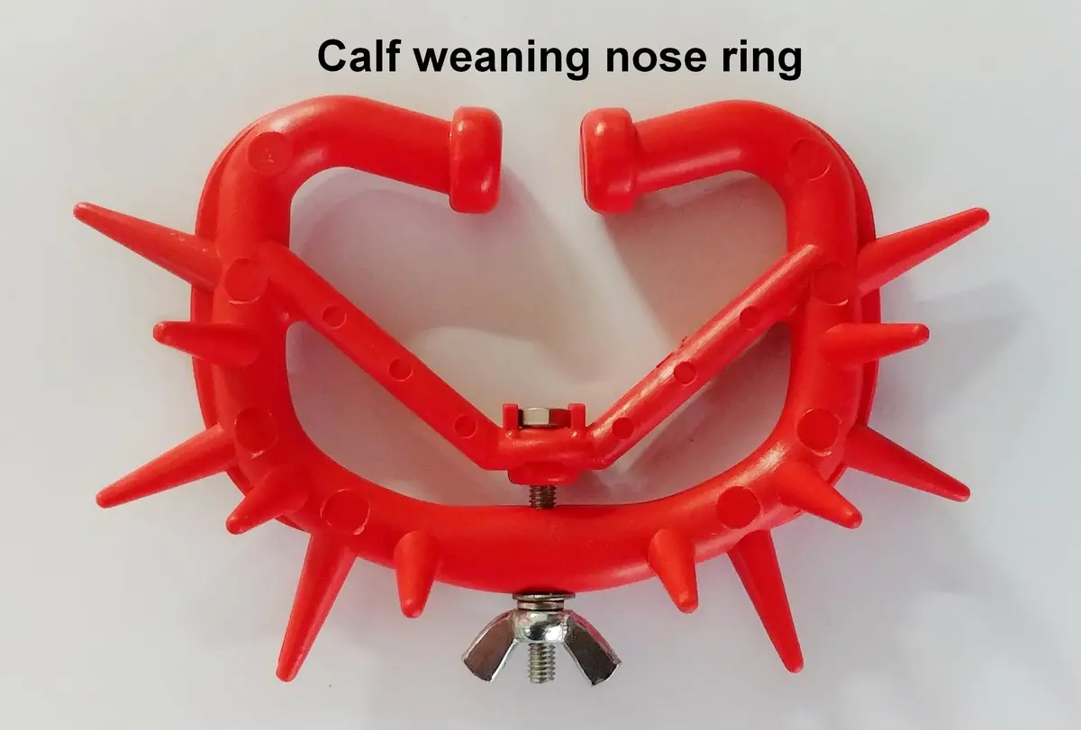 Ecowean Calf Weaning Nose Ring 1