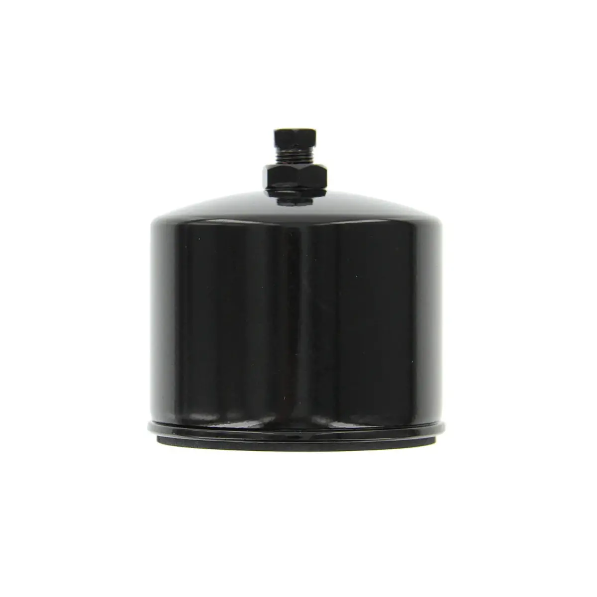 Onan A026k278 Fuel Filter 1