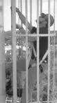 Ladder Safety System - Saflokâ® Steel Carabiner 1