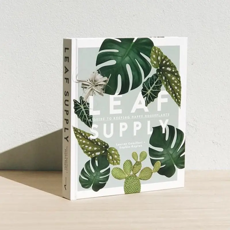 Lauren Camilleri - Leaf Supply 1