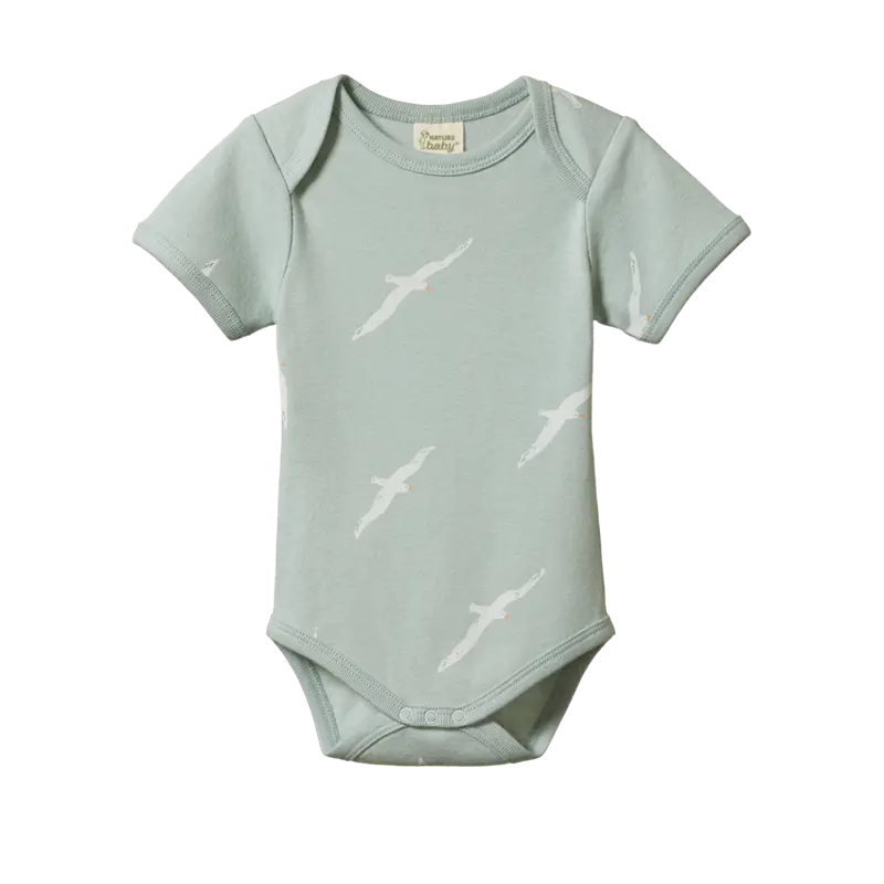 Nature Baby - Short Sleeve Bodysuit - Flying Albatross 1