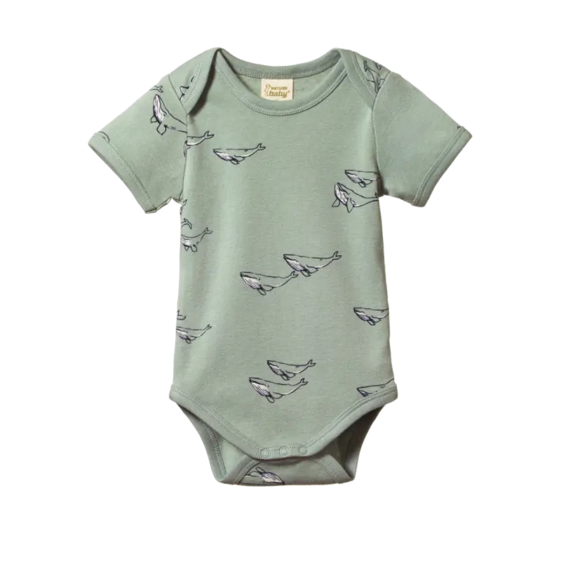 Nature Baby - Short Sleeve Bodysuit - Humpback Whale 1